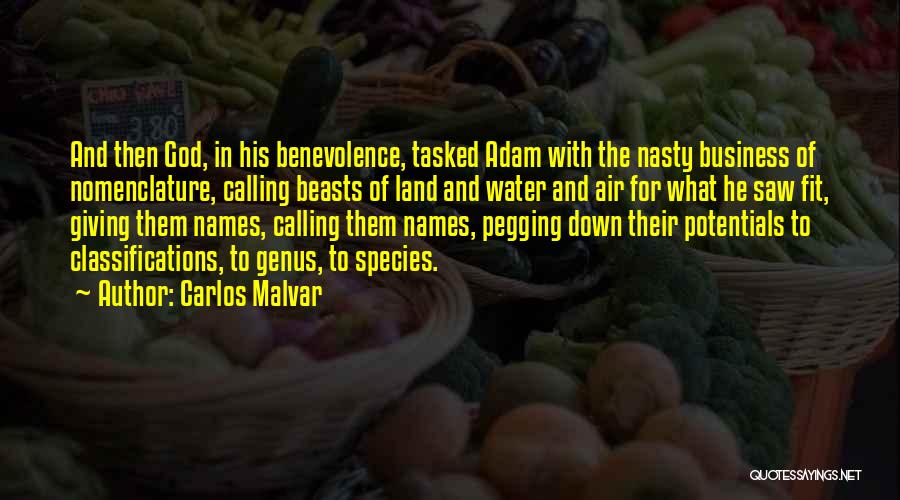 Best Nasty Quotes By Carlos Malvar