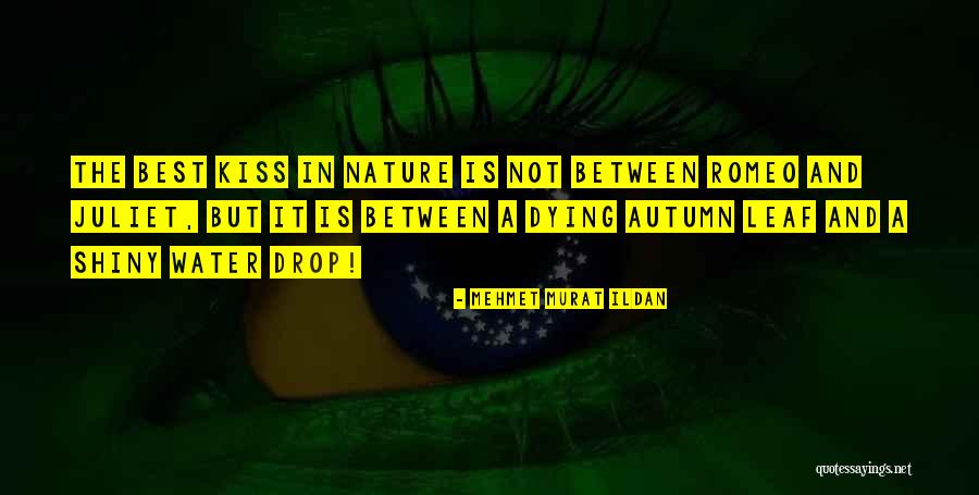 Best Nature Quotes By Mehmet Murat Ildan Best Nature Quotes By Mehmet Murat Ildan