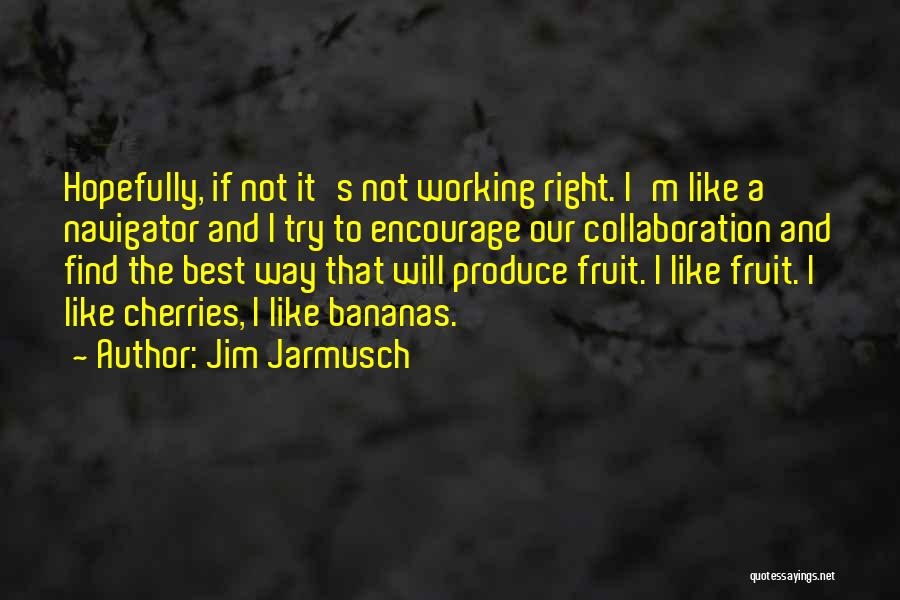 Best Navigator Quotes By Jim Jarmusch