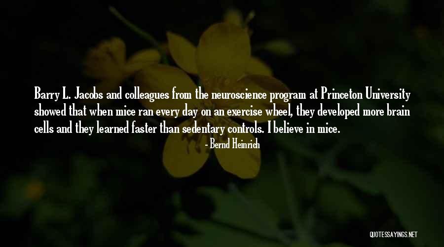 Best Neuroscience Quotes By Bernd Heinrich Best Neuroscience Quotes By Bernd Heinrich