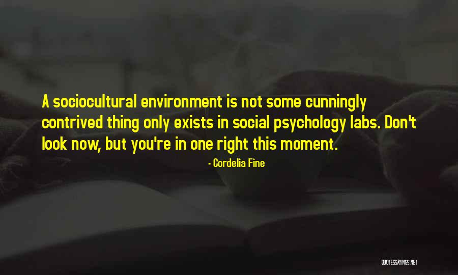 Best Neuroscience Quotes By Cordelia Fine Best Neuroscience Quotes By Cordelia Fine