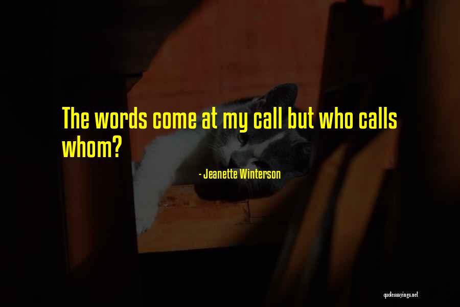 Best Nfl Bad Lip Reading Quotes By Jeanette Winterson