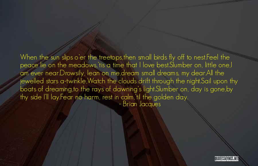 Best Night Time Quotes By Brian Jacques