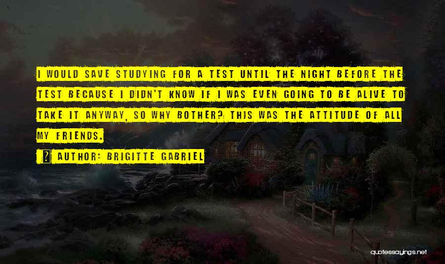 Best Night With Friends Quotes By Brigitte Gabriel