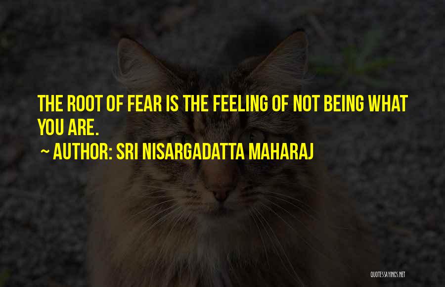 Best Nisargadatta Quotes By Sri Nisargadatta Maharaj