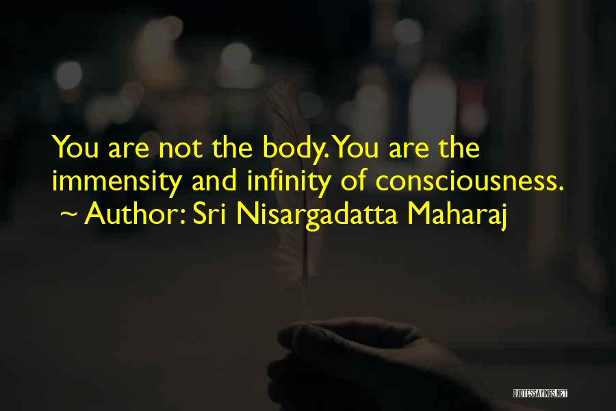 Best Nisargadatta Quotes By Sri Nisargadatta Maharaj