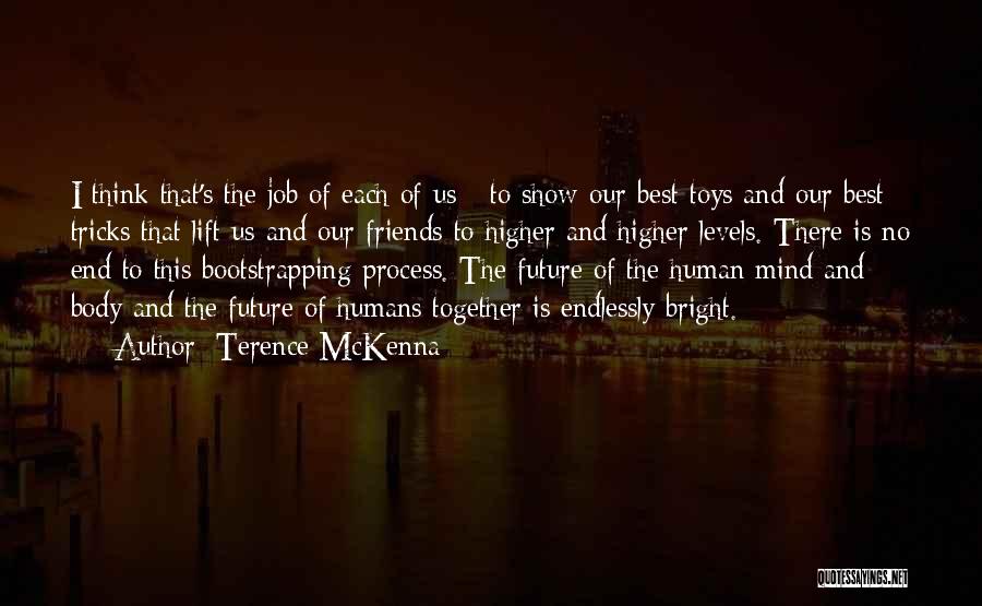 Best No End Quotes By Terence McKenna