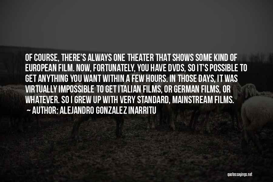 Best Non Mainstream Quotes By Alejandro Gonzalez Inarritu