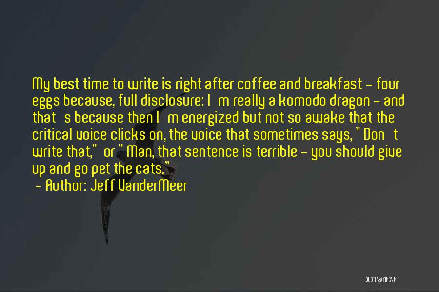 Best Not Giving Up Quotes By Jeff VanderMeer