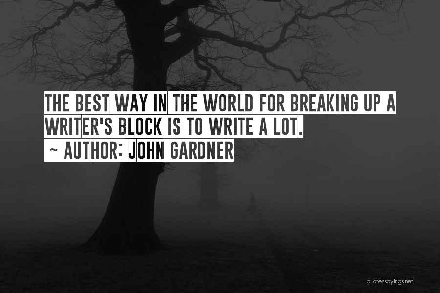 Best Novel Quotes By John Gardner