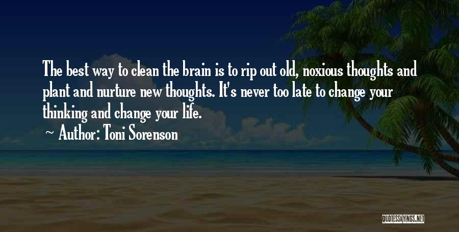 Best Nurture Quotes By Toni Sorenson