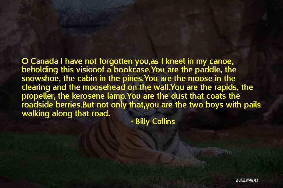 Best Off Road Quotes By Billy Collins