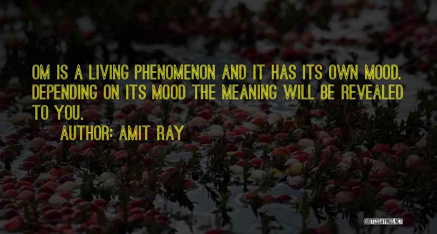 Best Om&m Quotes By Amit Ray