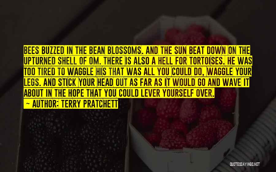 Best Om&m Quotes By Terry Pratchett