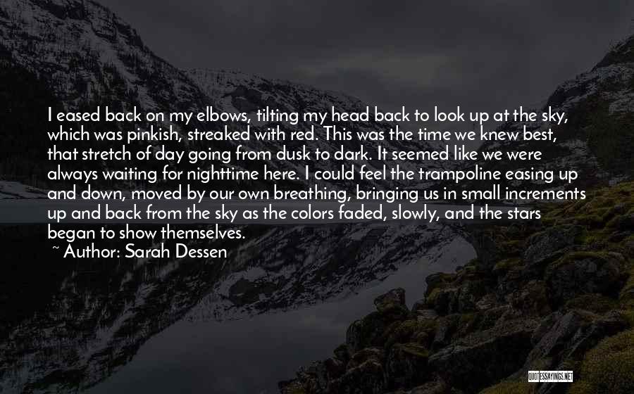 Best On My Own Quotes By Sarah Dessen