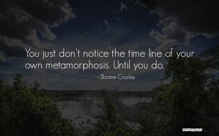 Best One Line Life Quotes By Sloane Crosley Best One Line Life Quotes By Sloane Crosley