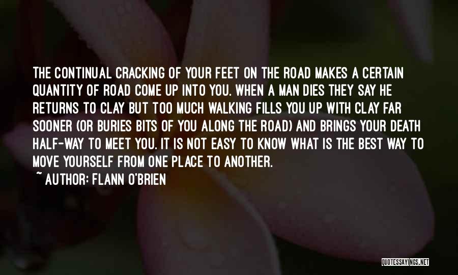 Best O'reilly Quotes By Flann O'Brien