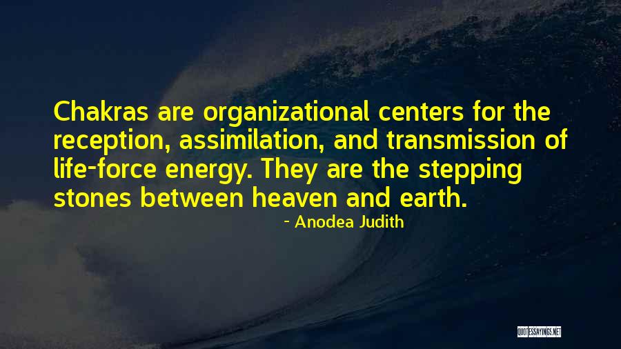 Best Organizational Quotes By Anodea Judith