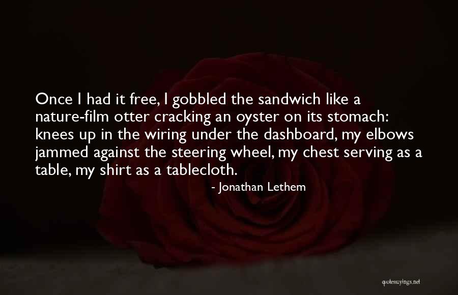 Best Otter Quotes By Jonathan Lethem Best Otter Quotes By Jonathan Lethem