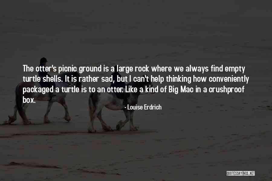 Best Otter Quotes By Louise Erdrich Best Otter Quotes By Louise Erdrich