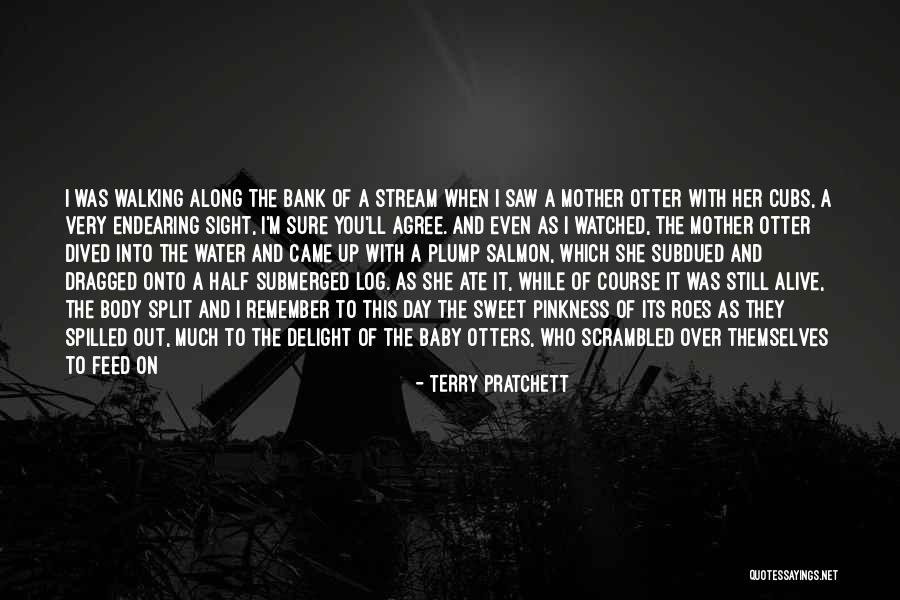 Best Otter Quotes By Terry Pratchett Best Otter Quotes By Terry Pratchett