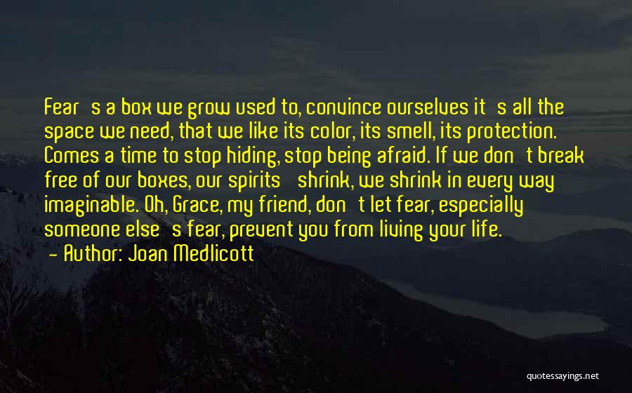 Best Out Of The Box Quotes By Joan Medlicott