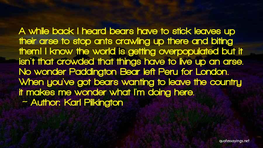 Best Paddington Bear Quotes By Karl Pilkington