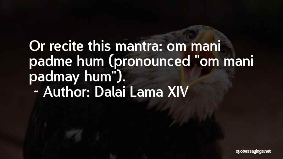 Best Padme Quotes By Dalai Lama XIV