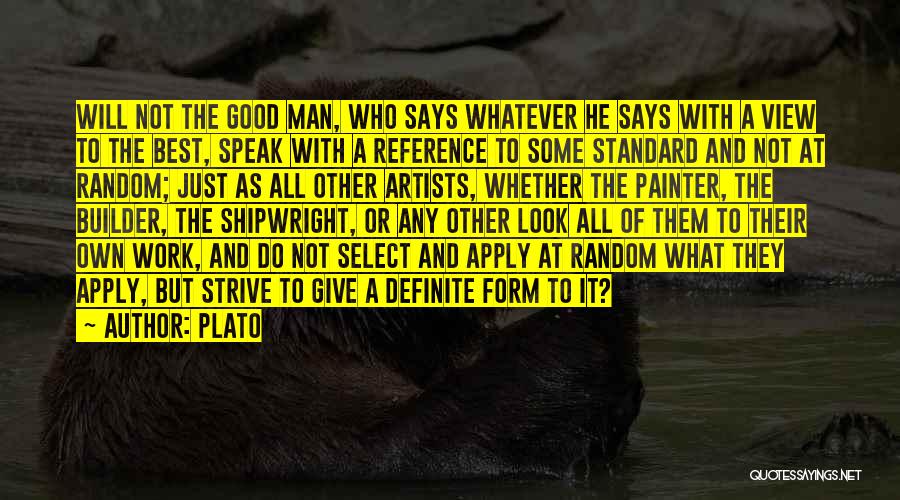 Best Painter Quotes By Plato