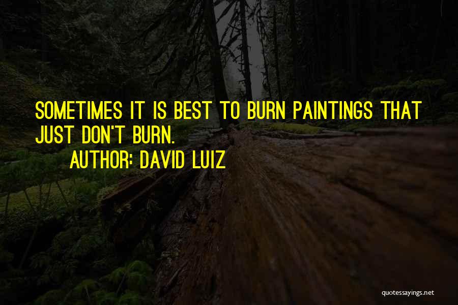 Best Paintings Quotes By David Luiz