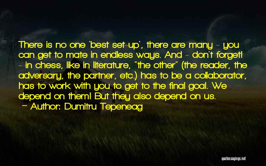 Best Partner Quotes By Dumitru Tepeneag