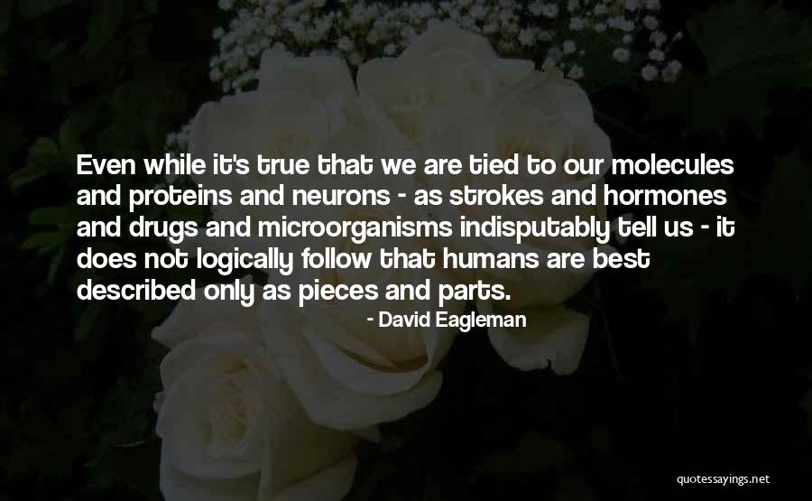 Best Parts Quotes By David Eagleman Best Parts Quotes By David Eagleman