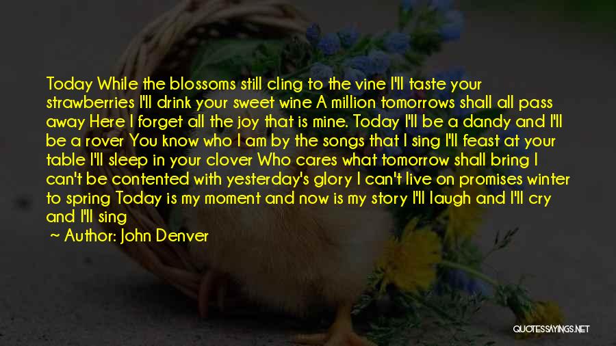 Best Pass Away Quotes By John Denver