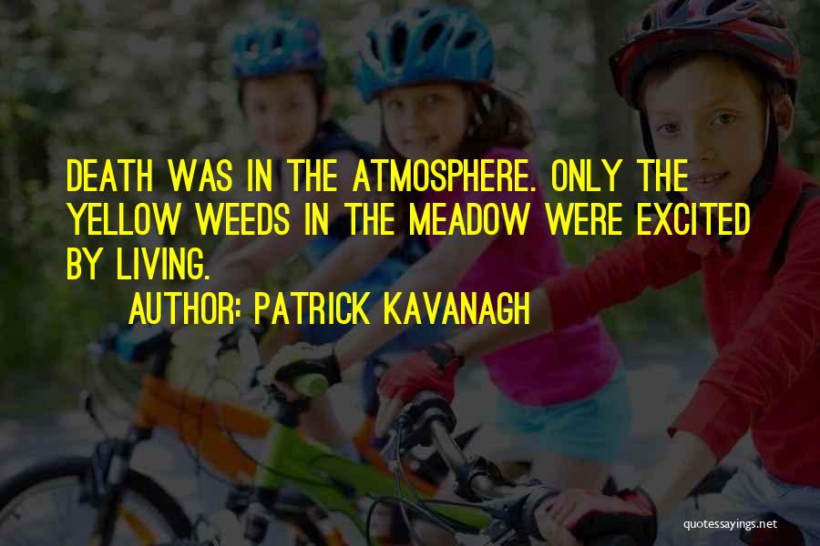 Best Patrick Kavanagh Quotes By Patrick Kavanagh