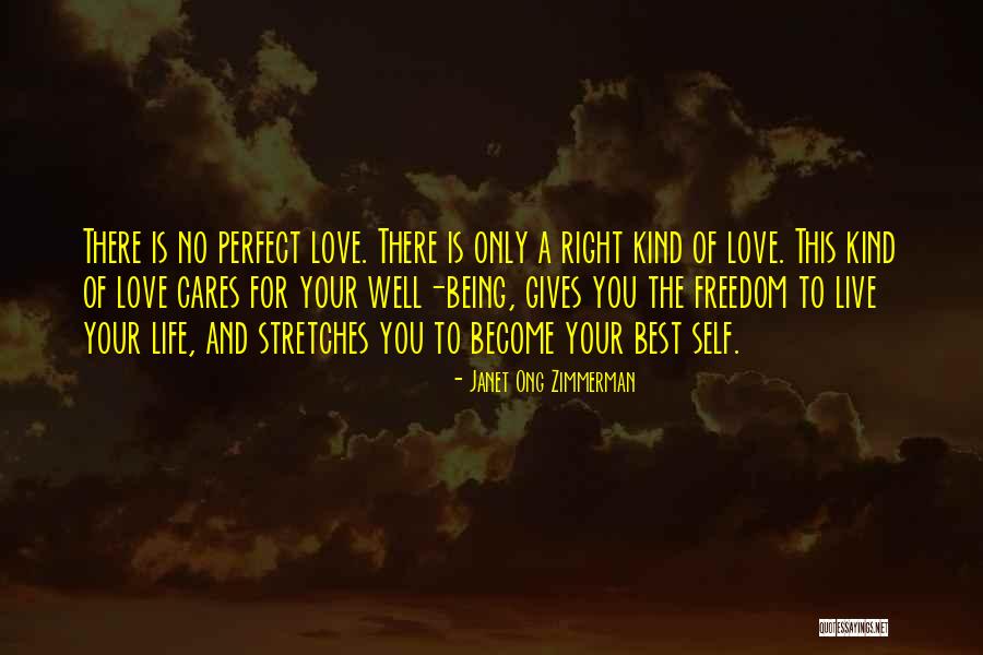 Best Perfect Love Quotes By Janet Ong Zimmerman