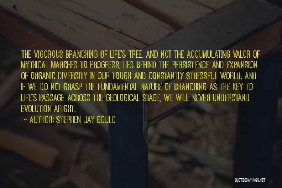 Best Persistence Quotes By Stephen Jay Gould