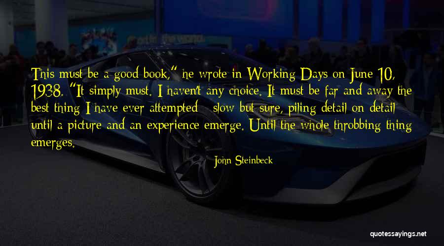 Best Picture Book Quotes By John Steinbeck