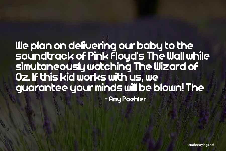 Best Pink Floyd The Wall Quotes By Amy Poehler