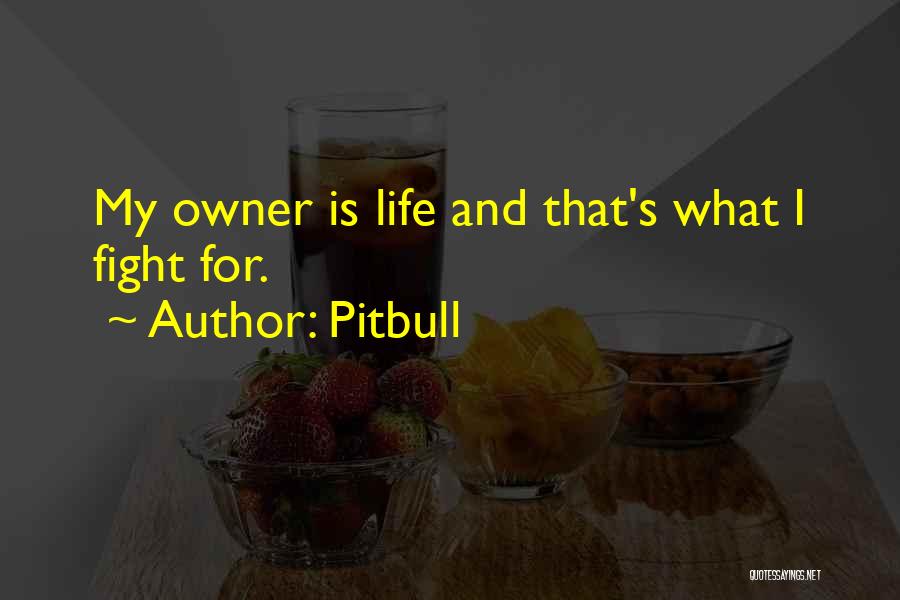 Best Pitbull Quotes By Pitbull