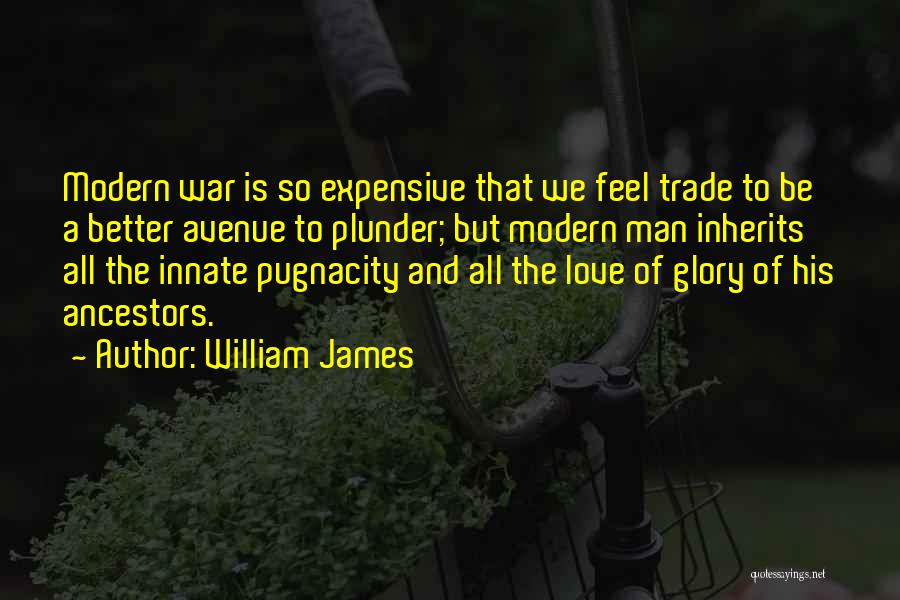 Best Plunder Quotes By William James