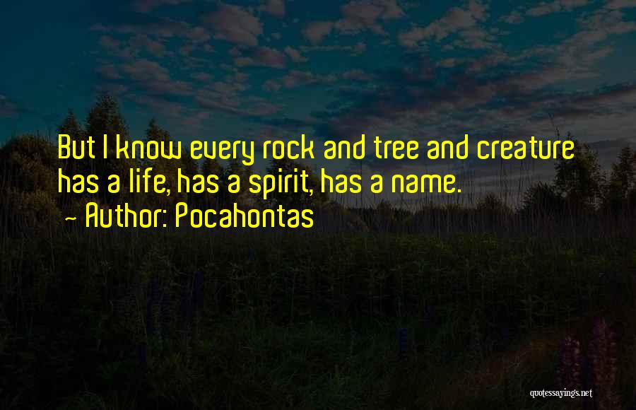 Best Pocahontas Quotes By Pocahontas