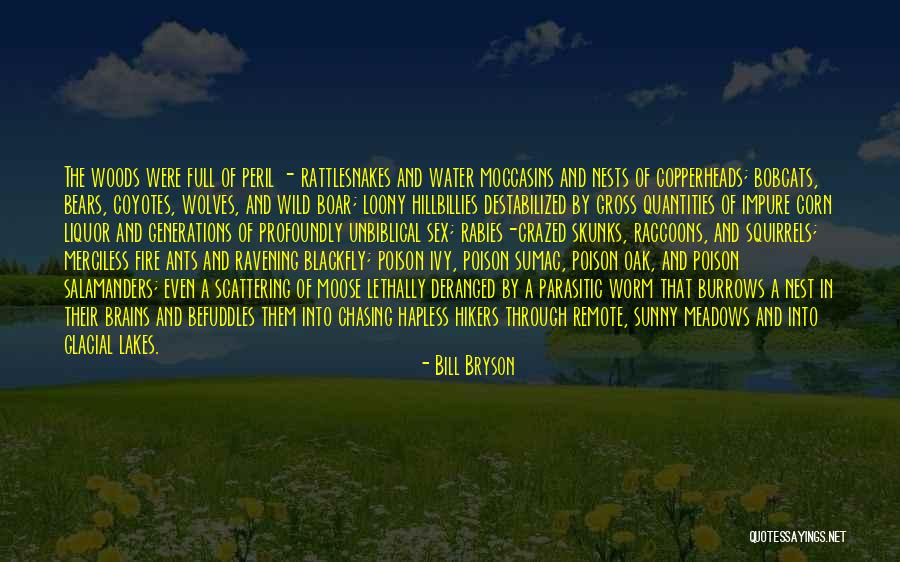 Best Poison Ivy Quotes By Bill Bryson Best Poison Ivy Quotes By Bill Bryson