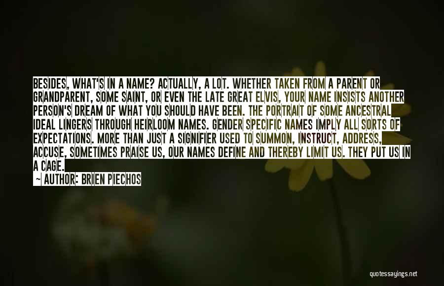 Best Portrait Quotes By Brien Piechos