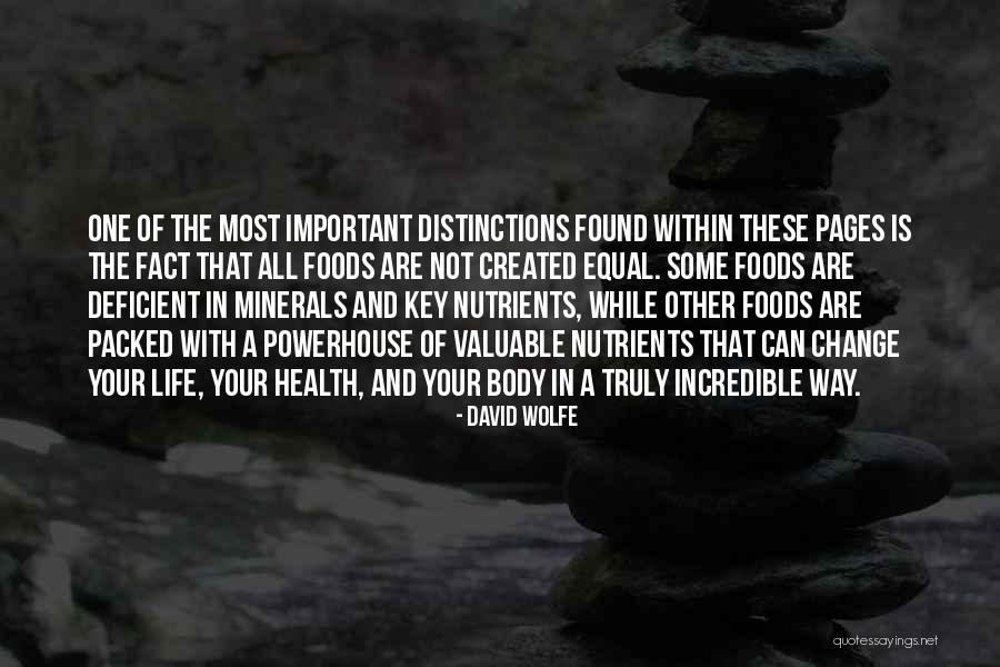 Best Powerhouse Quotes By David Wolfe