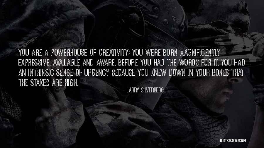 Best Powerhouse Quotes By Larry Silverberg