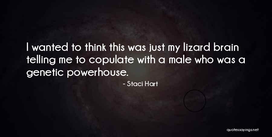 Best Powerhouse Quotes By Staci Hart