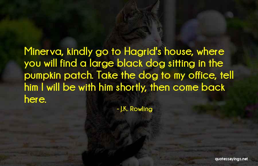Best Professor Mcgonagall Quotes By J.K. Rowling Best Professor Mcgonagall Quotes By J.K. Rowling