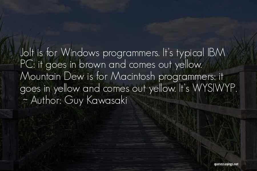 Best Programmers Quotes By Guy Kawasaki