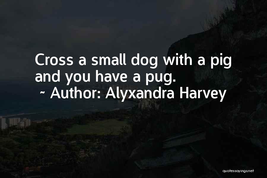Best Pug Quotes By Alyxandra Harvey