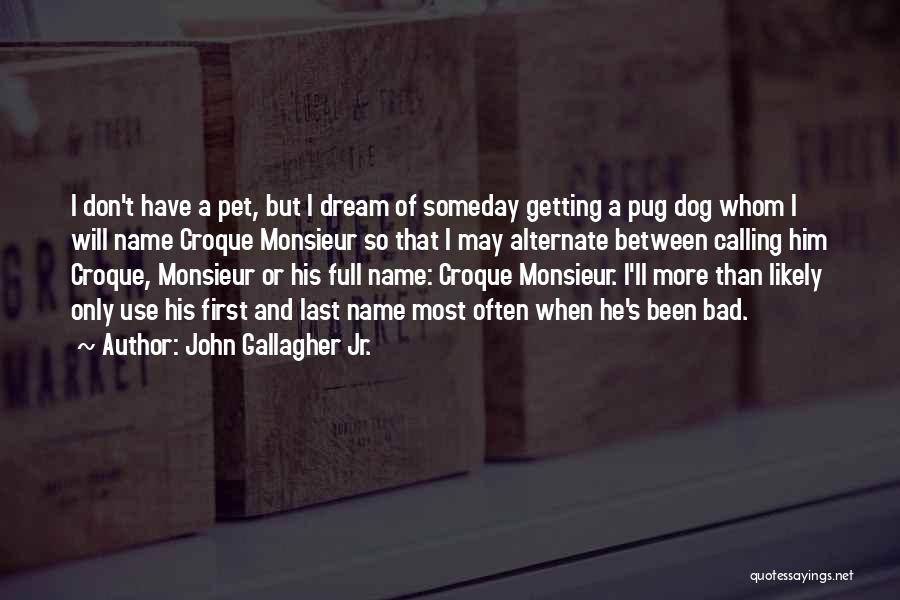 Best Pug Quotes By John Gallagher Jr.